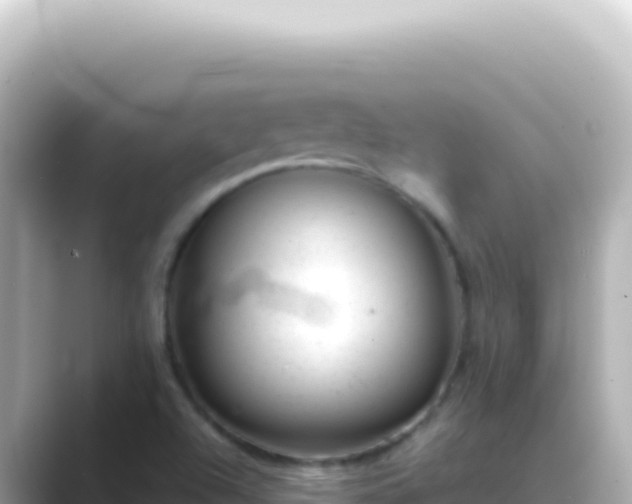 X0000089451504200706221238