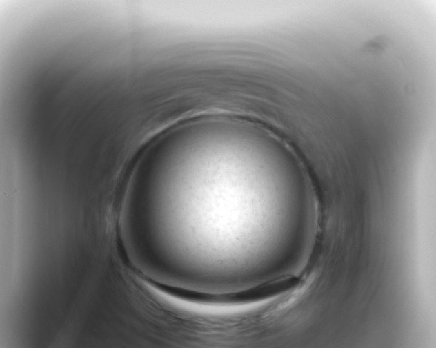 X0000089451505200706221238