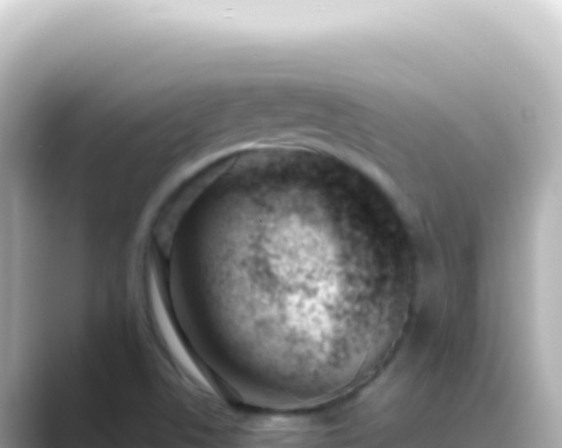 X0000089451506200706221238