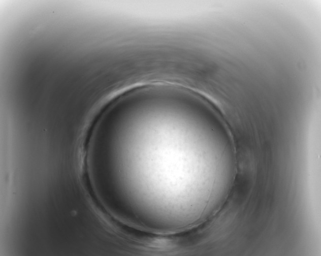 X0000089451507200706221238
