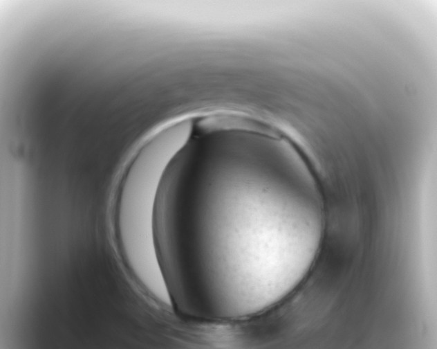 X0000089451508200706221238