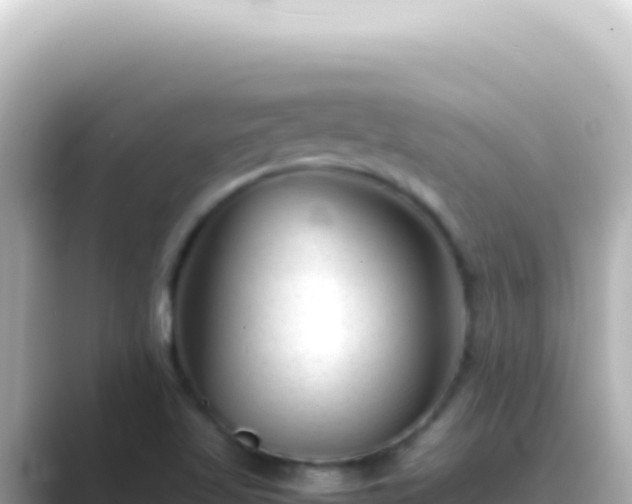 X0000089451509200706221238