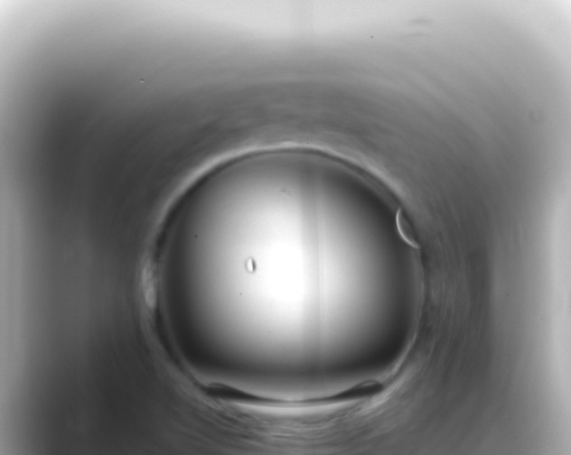 X0000089451510200706221238