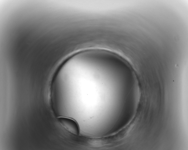 X0000089451511200706221238