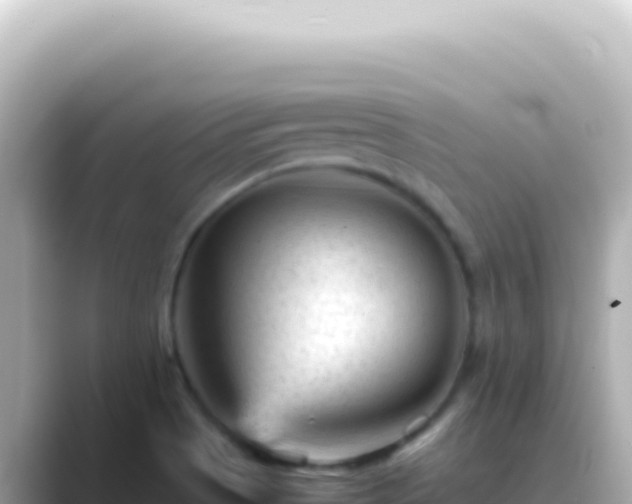 X0000089451513200706221238