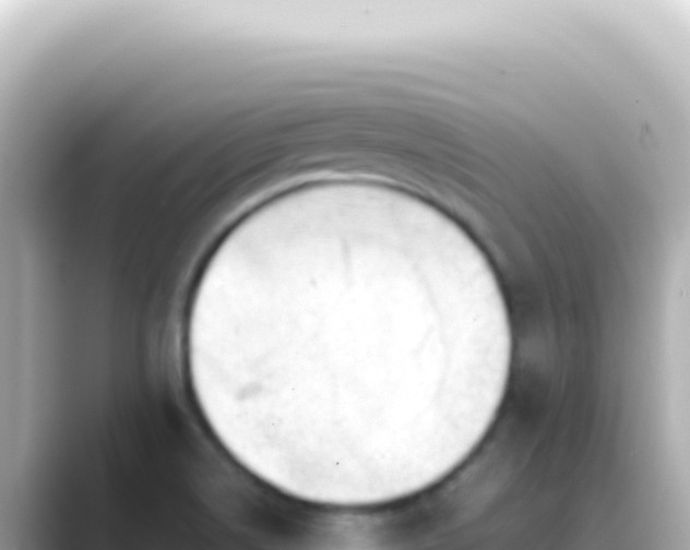 X0000089451514200706221238