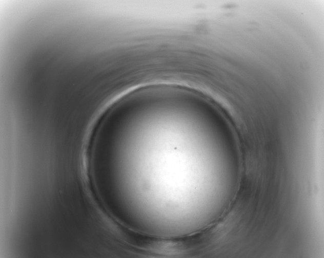 X0000089451517200706221238