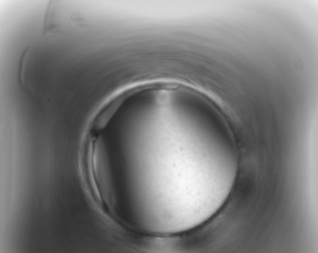 X0000089451518200706221238
