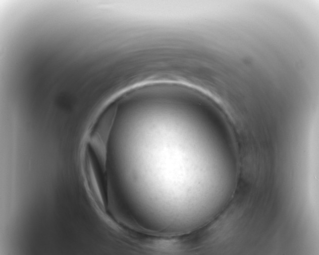 X0000089451519200706221238