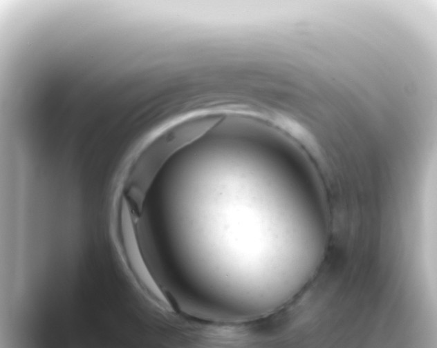 X0000089451520200706221238