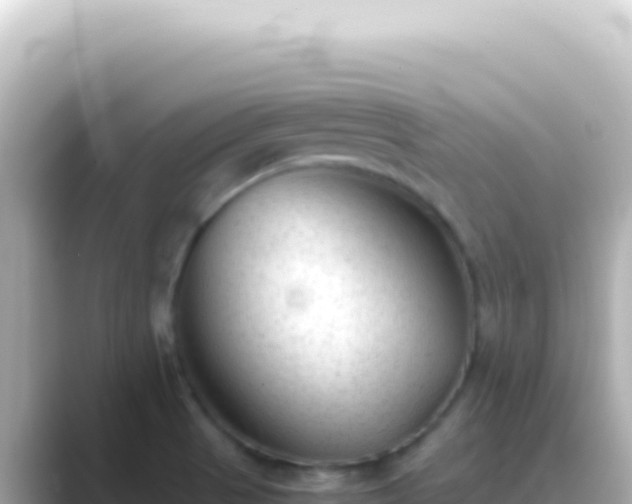 X0000089451521200706221238