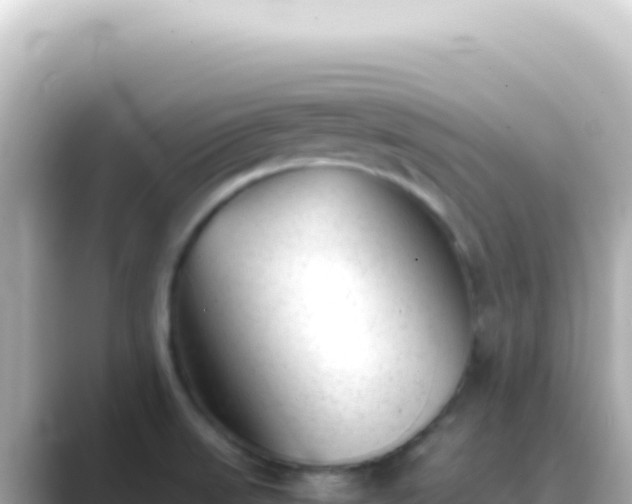 X0000089451523200706221238