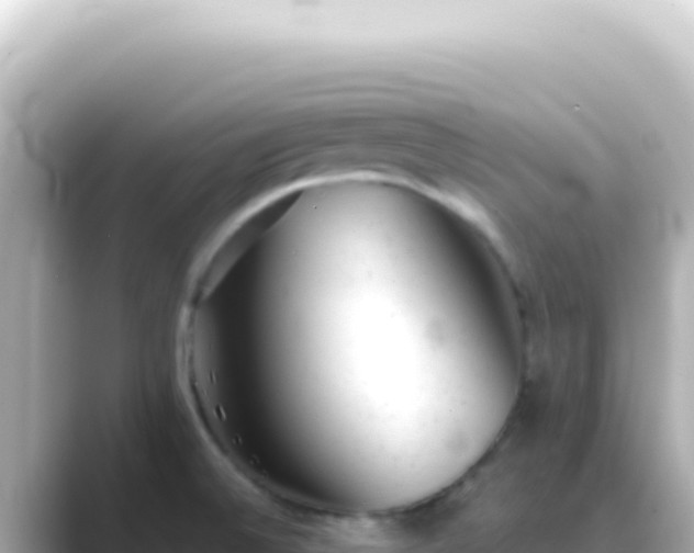X0000089451524200706221238