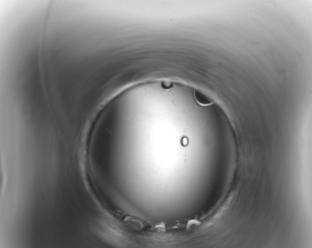 X0000089451525200706221238