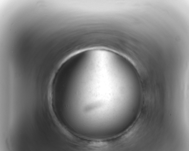 X0000089451526200706221238