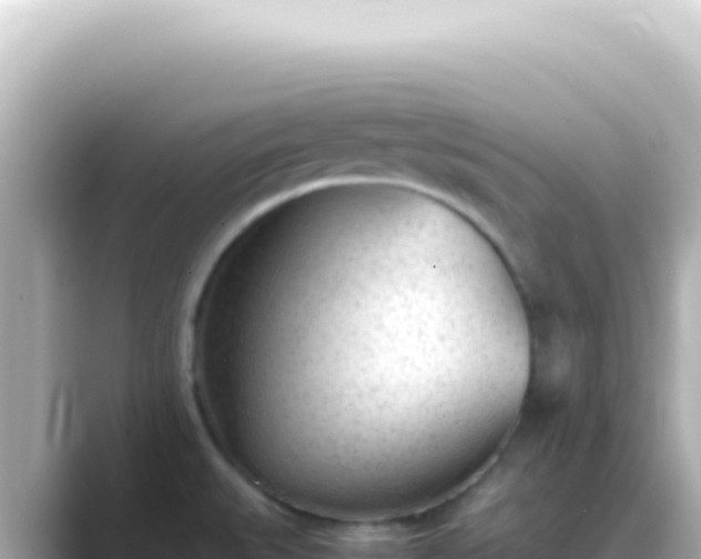 X0000089451527200706221238