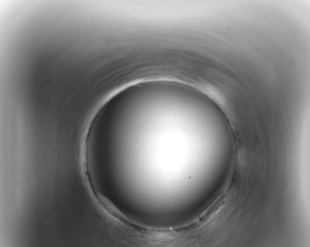 X0000089451528200706221238