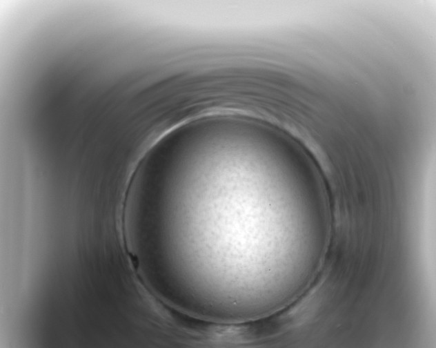 X0000089451529200706221238