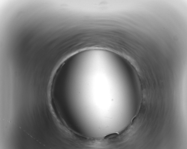 X0000089451530200706221238