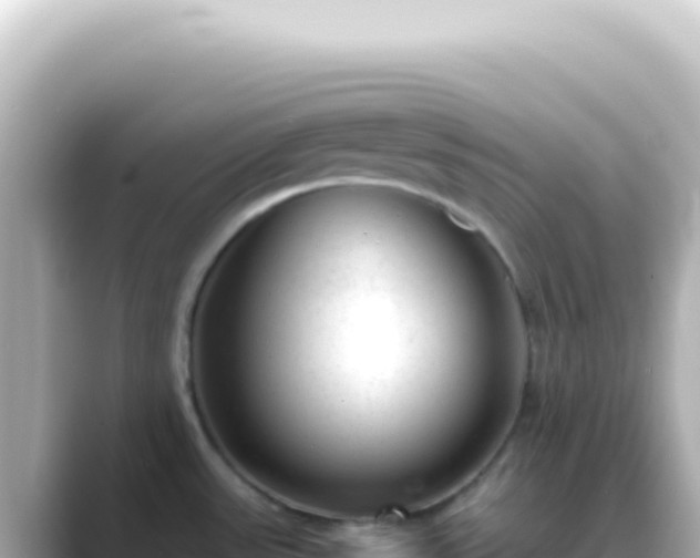 X0000089451531200706221238
