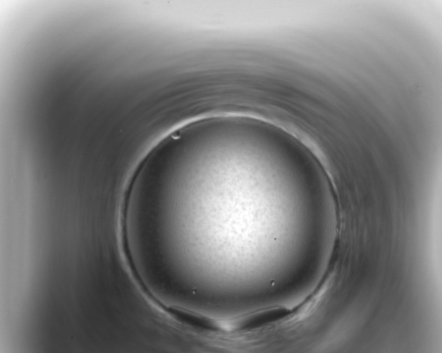 X0000089451533200706221238