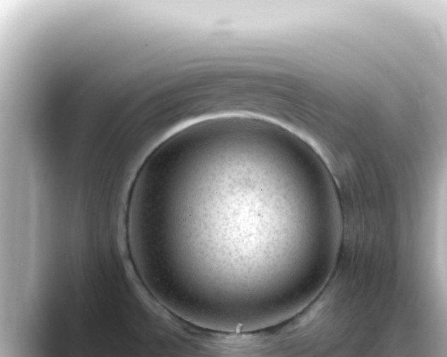 X0000089451534200706221238