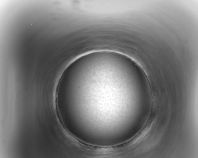 X0000089451535200706221238