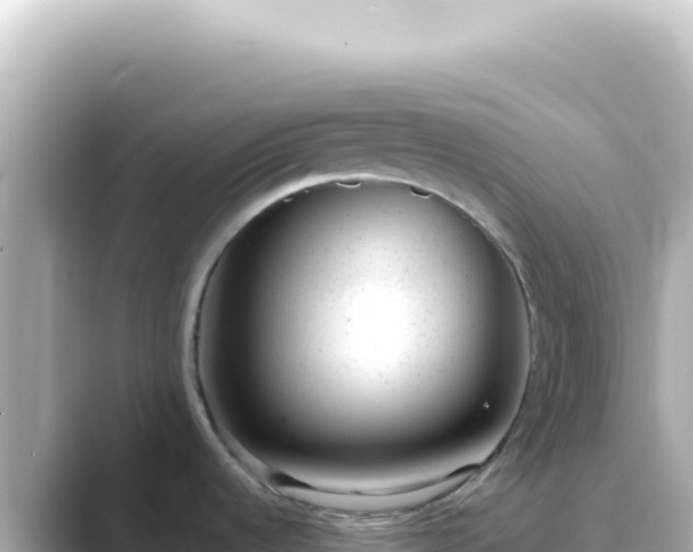X0000089451536200706221238