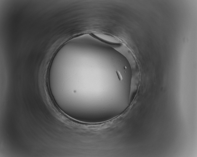 X0000089450001200706291451