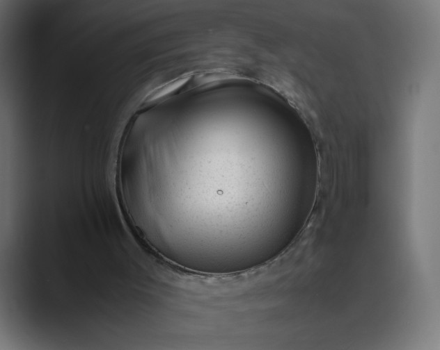 X0000089450003200706291451
