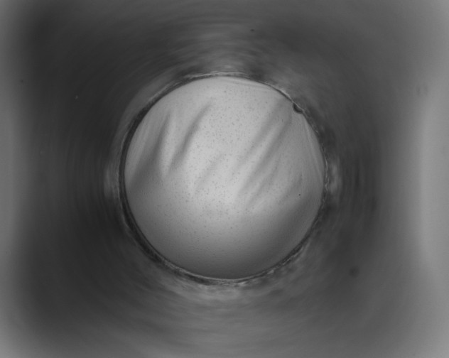 X0000089450004200706291451