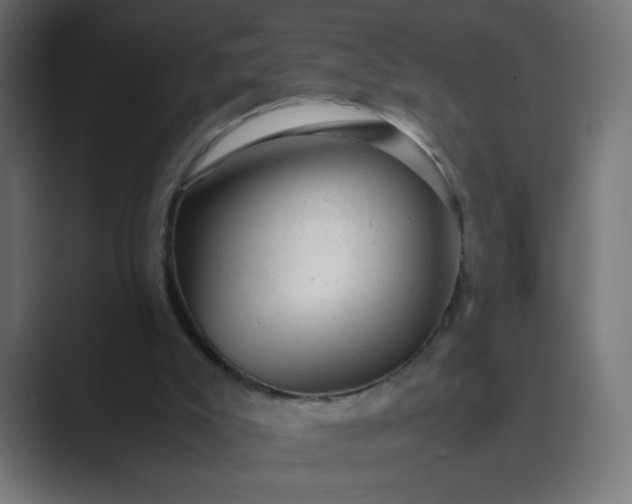 X0000089450007200706291451