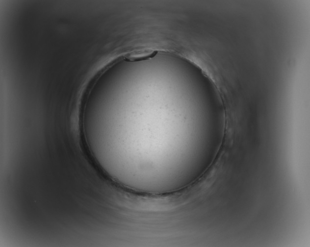 X0000089450008200706291451