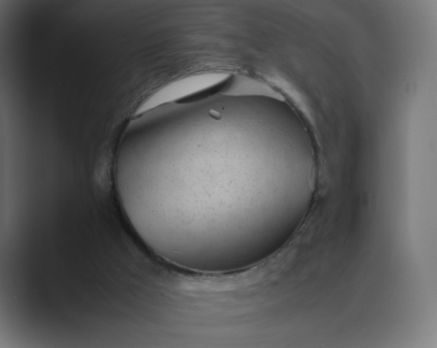 X0000089450009200706291451