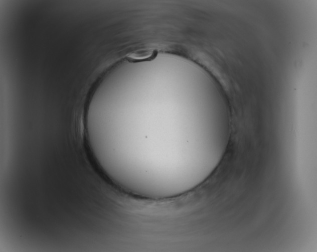 X0000089450011200706291451