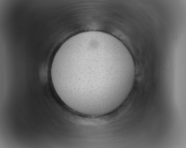 X0000089450012200706291451
