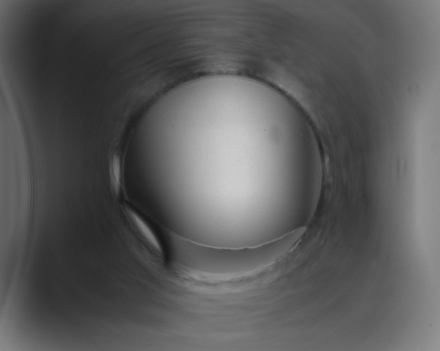 X0000089450013200706291451