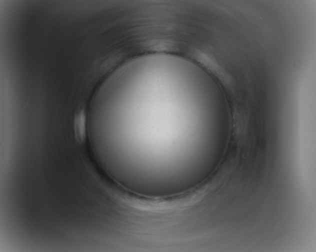 X0000089450014200706291451