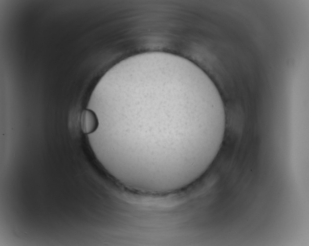 X0000089450016200706291451