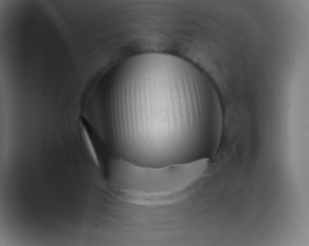 X0000089450017200706291451