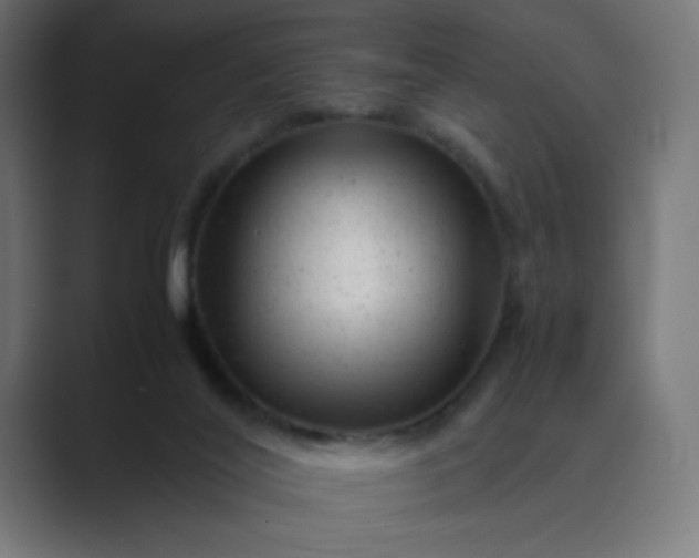 X0000089450020200706291451