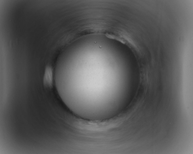 X0000089450022200706291451