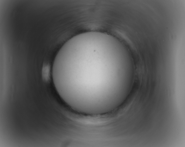 X0000089450024200706291451