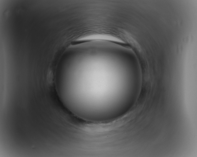X0000089450025200706291451