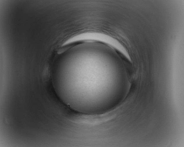 X0000089450029200706291451