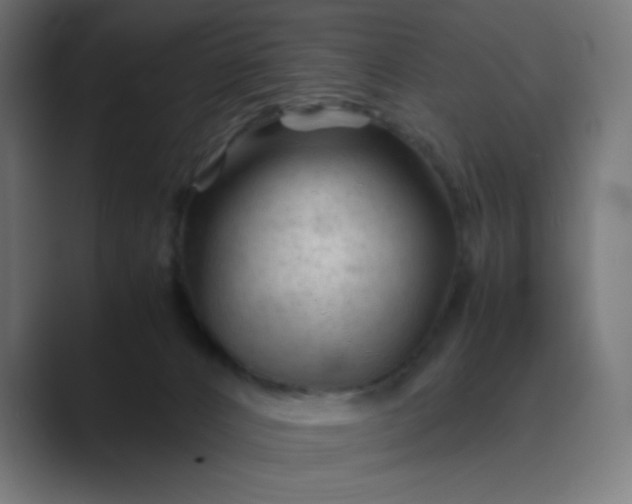 X0000089450032200706291451