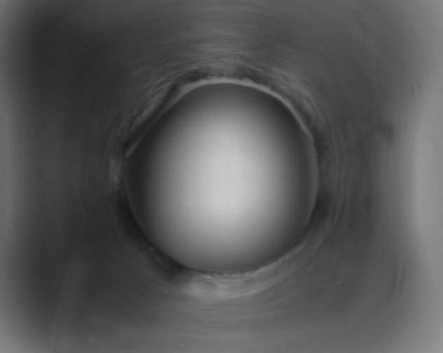 X0000089450033200706291451