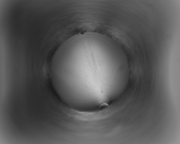 X0000089450034200706291451