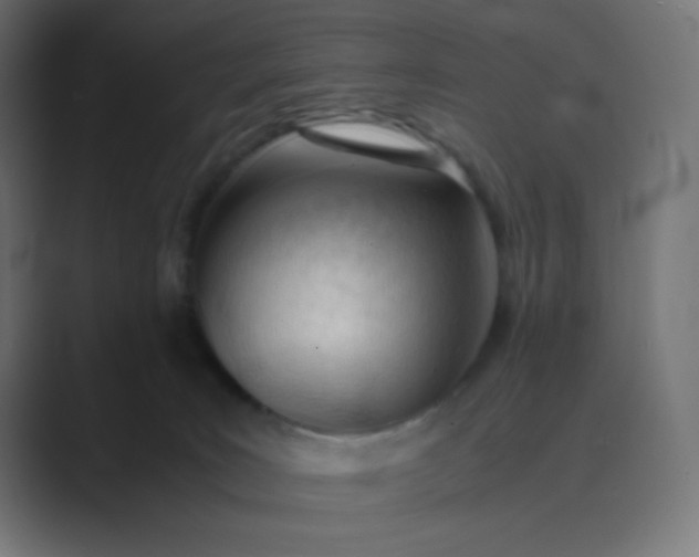 X0000089450035200706291451