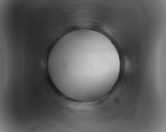 X0000089450040200706291451